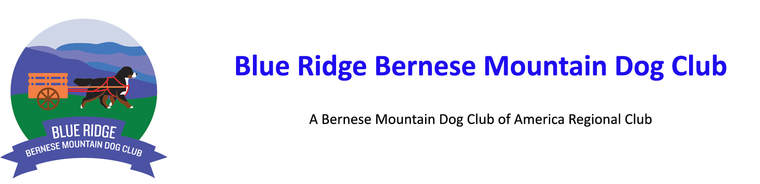 Blue Ridge Bernese Mountain Dog Club